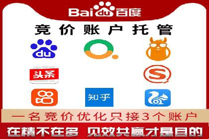 SEM代理服务：案例分享，效果显著